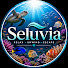 IN6VbjaF0KU-channel-avatar-Seluvia Stream