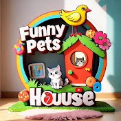 Funny pet house 
