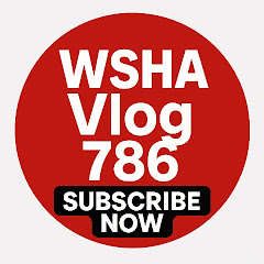 WSHA vlog 786 