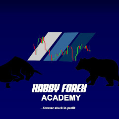 Habbyforex Academy net worth
