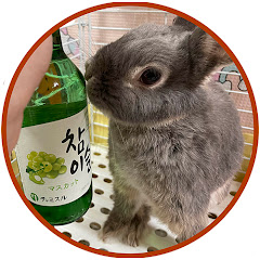 はやぱと。