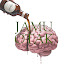 8yP5j9uZUP0-channel-avatar-Jamu Otak