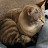 mookystinx