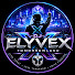 gV4PjrSukWA-channel-avatar-DJ ELYVEX – Tomorrowland