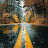 @Morikachiaaa Avatar