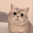@holymoly-i9z