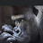 @BIGO787 Avatar
