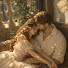 VrI89rRzY7Y-channel-avatar-Royal Love Tales
