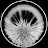 @Quantrust_FX