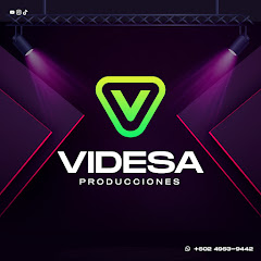 VIDESA PRODUCCIONES