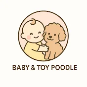 BABY&TOY POODLE