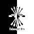 __mpP27V1ew-channel-avatar-Falangist Bro