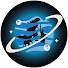 6lMU2n9FQqI-channel-avatar-InfoSize Universe
