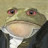 @zootedgoblin