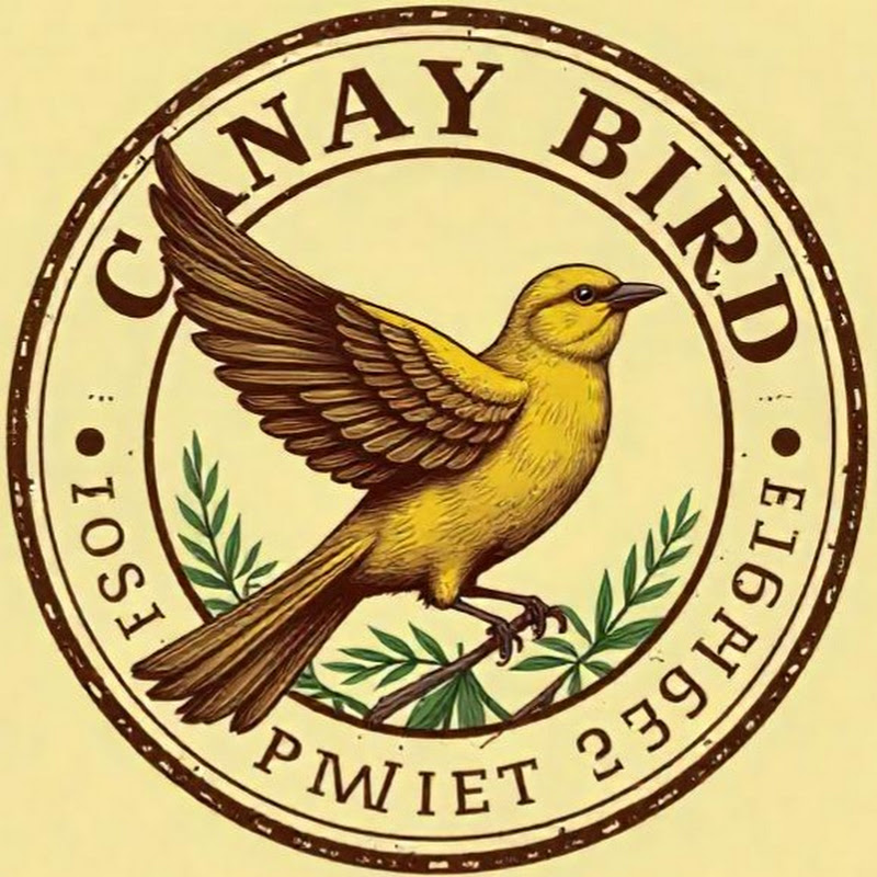 Canary Singing Vibes