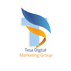 TESA STUDIOS TV net worth