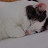 @Katze-Karra's avatar