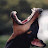 @murk_yo's avatar