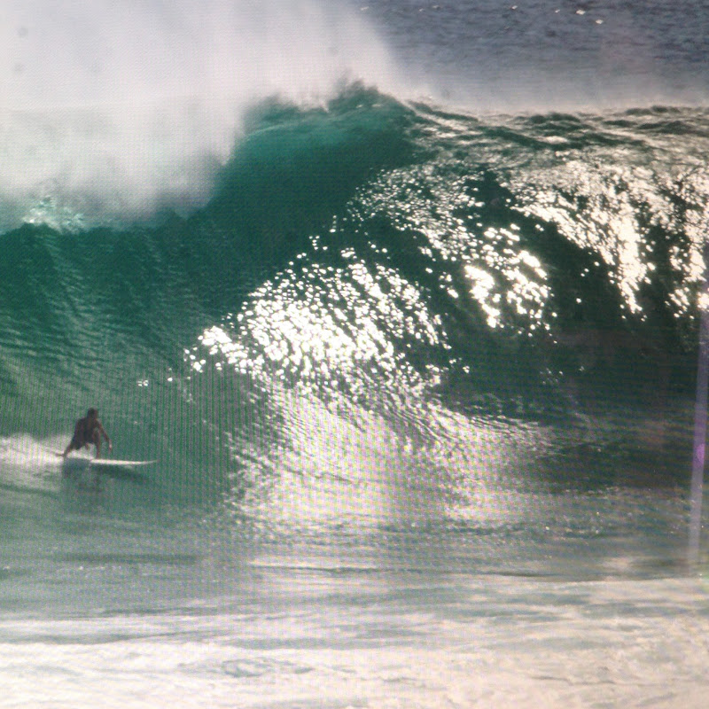 CA Surf N Paddle