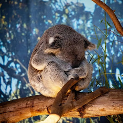 Ai sameer animation hindi