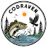 jXJ_5dGZ6mQ-channel-avatar-Codraven