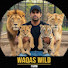 GNCBW0-2rcI-channel-avatar-Waqas Wild Farm