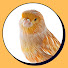 308N_HcnMZ4-channel-avatar-Kanarya Ötüşü