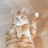 @묘묘-b5h