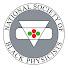 National Society of Black Physicists (NSBP)