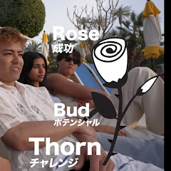 見る専