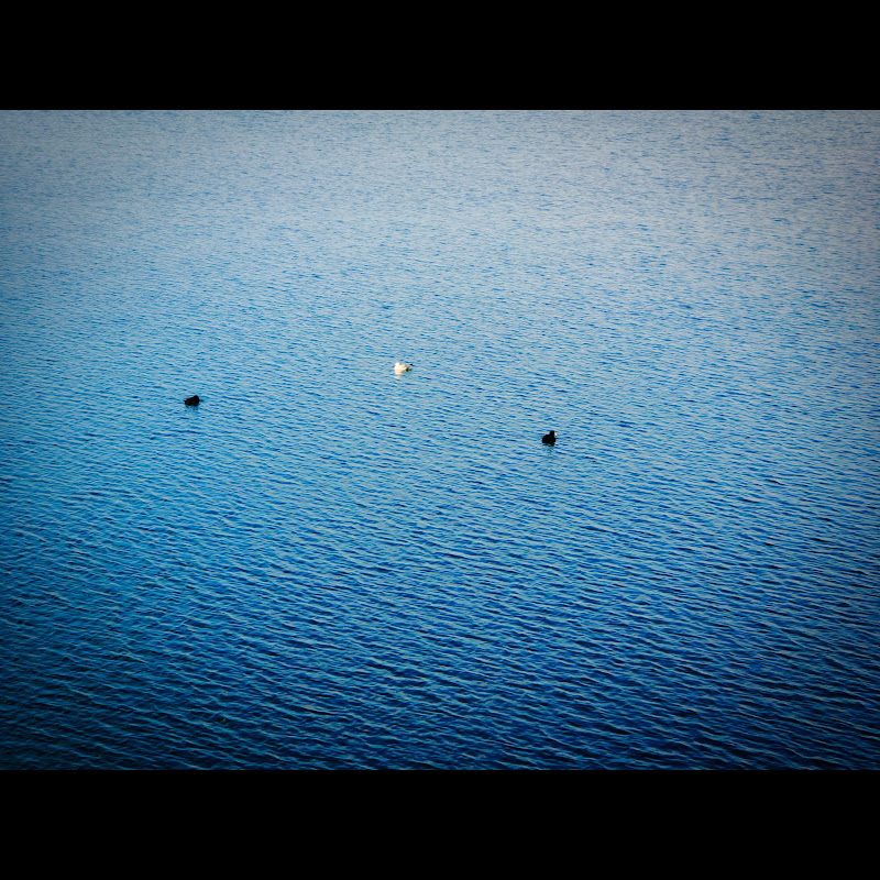 Neslihan Oskay - Topic