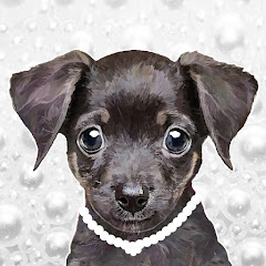 Pearl's Little Dog Life net worth