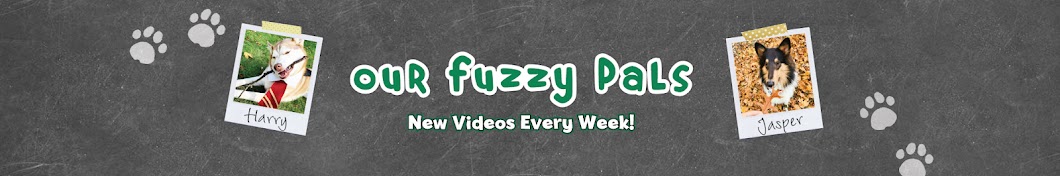 Our Fuzzy Pals YouTube channel avatar