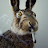@SkitzVicious's avatar