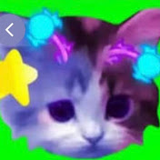 💖cutekitty💝 