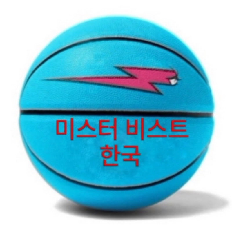 미스터비스트코리아