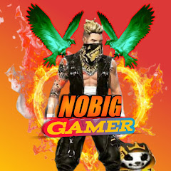 NOBIG GAMER net worth