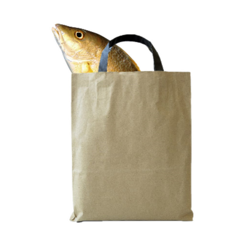 Bag Bass
