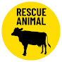 Rescue Animal logo