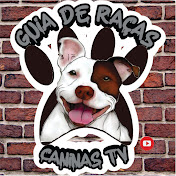 Guia de Raças Caninas TV