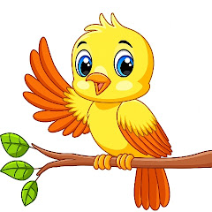 Bird Cartoon Animation