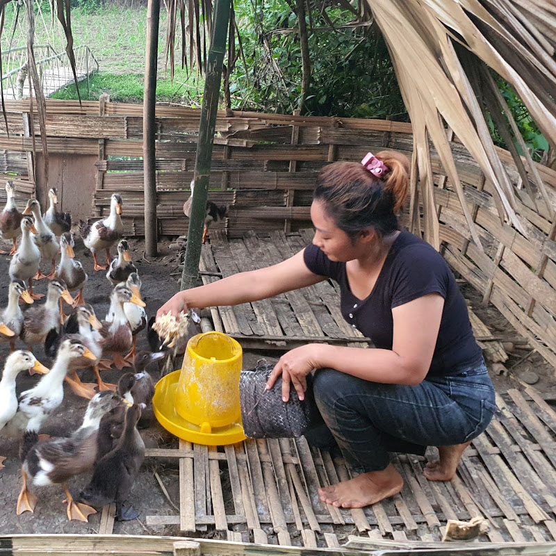 Lý Mai Farmer
