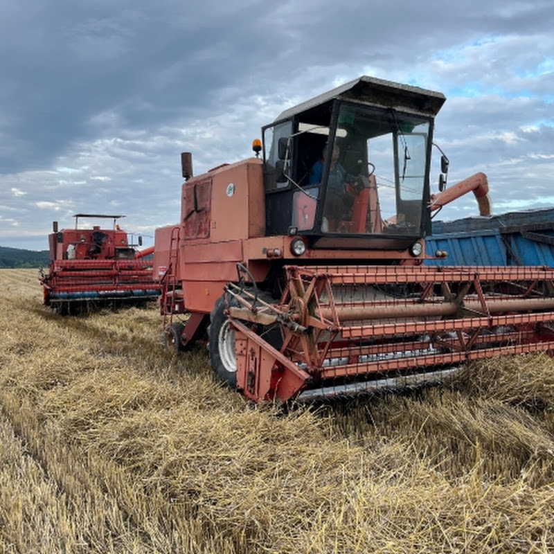 Hire Rolnictwo z pasji. — Sustainable Home Practices YouTube creator for sponsorships