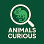 Animals Curious logo