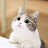 @햇살-t3h