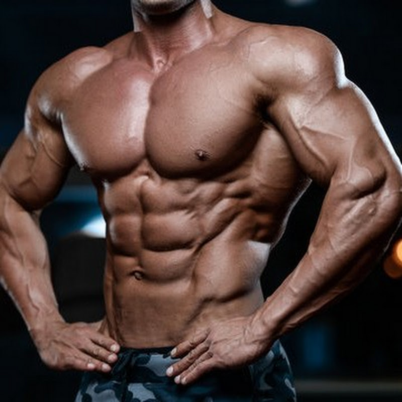 Bodybuilding Category