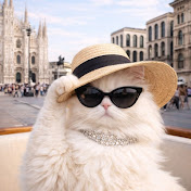 Sweetcat