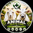 8sCuCasfDTU-channel-avatar-Animal Health Care 