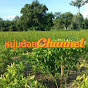 หนุ่มน้อย Channel