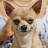@Mr.Spokie's avatar